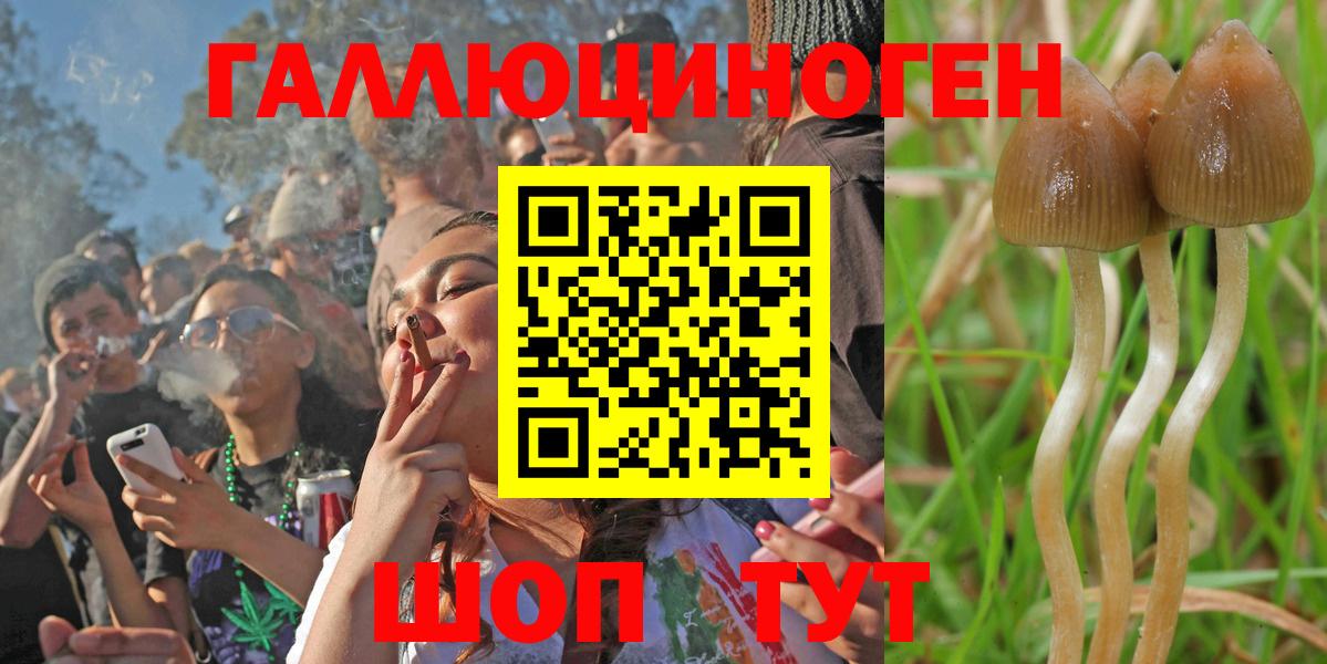 Семёнов  Галлюциногенные грибы GOLDEN TEACHER  Вход с VPN  Галлюциногенные грибы мицелий 